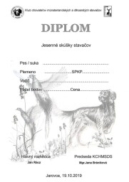Grafický a výtvarný návrh na Diplom